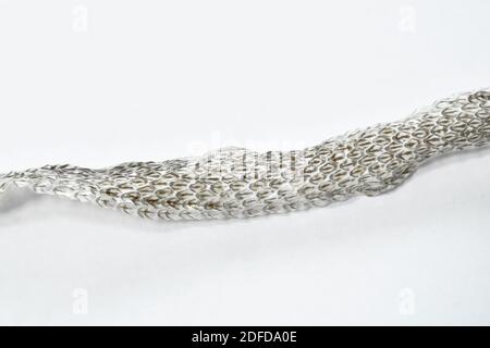 snake slough skin on white background Stock Photo