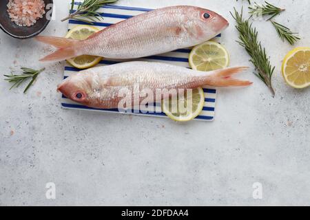 Raw red mullet fish with lemons and herbs on white stone background, copy space Stock Photo