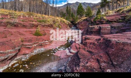 Red Rock Canyon in autumn foliage season morning. Blue sky, white clouds and mountains in the background. Waterton Lakes National Park, Alberta,Canada Stock Photo