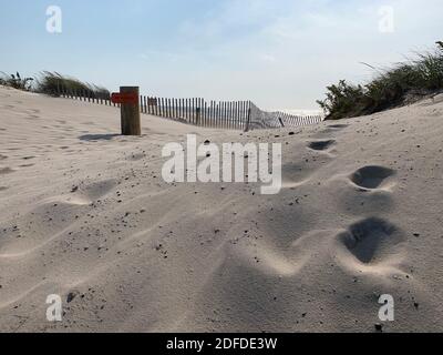 Sand Dunes overlooking the beach Stock Photo