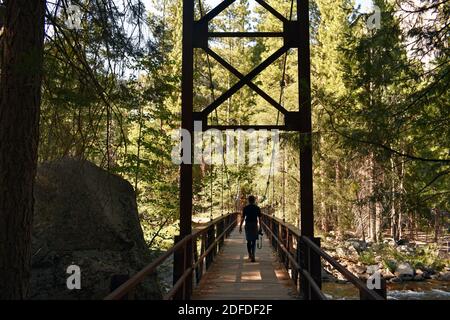 A young male hiker carrying a camera crosses a footbridge over a small river along the Zumwalt Meadows Trail in Kings Canyon National Park, California Stock Photo