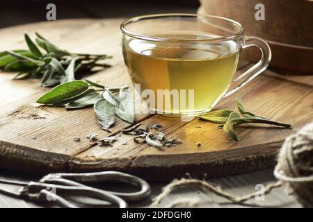 Sage herbal tea or decoction in a glass cup with herb leaves nearby on wooden table, closeup, copy space, herbal drinks and naturopathy concept Stock Photo