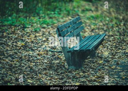 Lonely bench in autumn park Stock Photo