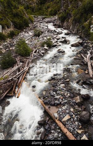 Steven's Creek rushing over rock and downed trees view from above Stock Photo