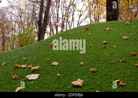 A green sheared artificial hill, on which autumn leaves fell. Stock Photo
