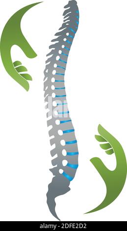 Spine, orthopedics, chiropractor, massage, logo Stock Vector