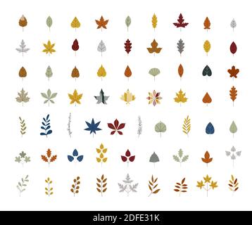 Autumn leaves of maple, oak, birch. Isolated on white background. Simple cartoon flat style. vector illustration. Hand drawn vector. leaf logo vector Stock Vector