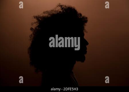 A silhouette of the side profile of an adult African person with long curly hair against a brown background Stock Photo