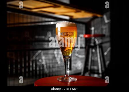 Brugge, Belgium - Ocober 20, 2019: Glass of Belgium Petrus blond beer in bar Stock Photo