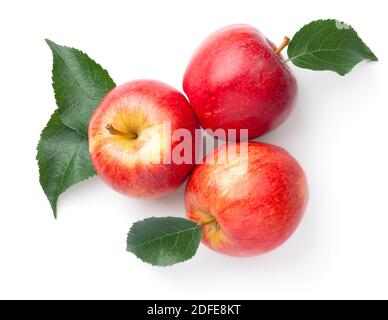 Red apples with leaves isolated over white background. Gala apple. Top view Stock Photo