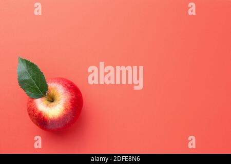Single red apple with fresh green leaf on red paper background. Empty room for text. View from above Stock Photo