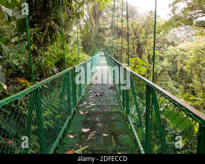 Suspension bridge made of metal in the rainforest of Costa Rica. With a beautiful view of the treetops of the tropical forest. , Stock Photo