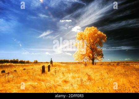 A false color infrared scene of a long forgotten cemetery in Jackson County, Indiana Stock Photo