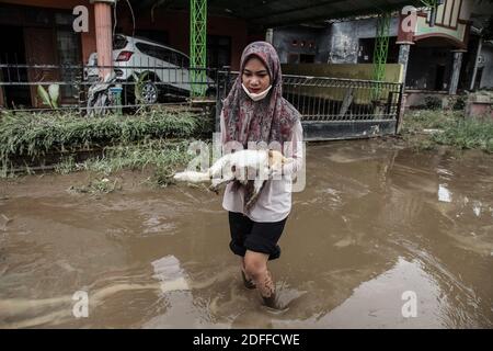 Medan, North Sumatra, Indonesia. 4th Dec, 2020. A young woman carries a stray cat that was rescued from being swept away by a flood as a result of the swift flow of the river that submerged their home. Heavy rains flooded thousands of homes leaving a number of people dead and missing. Credit: Albert Ivan Damanik/ZUMA Wire/Alamy Live News Stock Photo