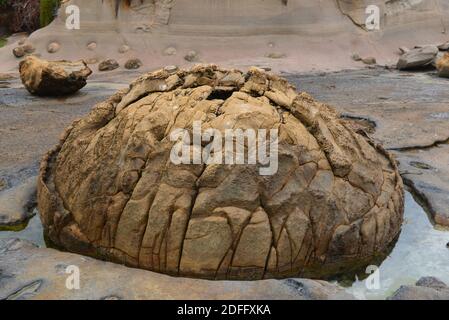 Rock formations on Shag Point beach Stock Photo