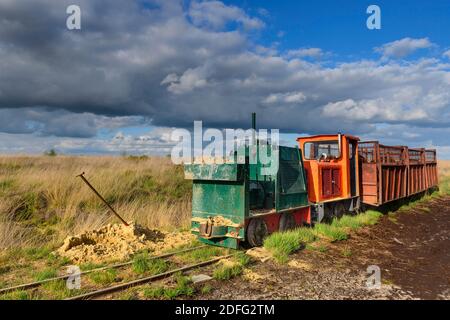 Torfbahn, Torfloren im Moor, Stock Photo