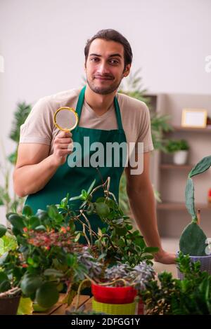 Young gardener with plants indoors Stock Photo