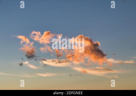 Cloudsscape with puffy golden clouds against a deep blue sky. Stock Photo