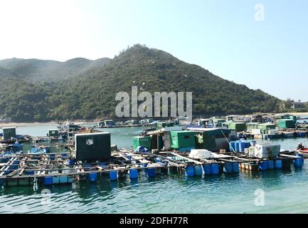 Fish and seafood farms in Sok Kwu Wan, Lamma Island, Hong Kong. Stock Photo