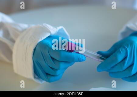 Process of coronavirus testing examination by nurse medic in laboratory lab, COVID-19 swab collection kit, tube for taking OP NP patient specimen samp Stock Photo