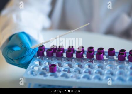 Process of coronavirus testing examination by nurse medic in laboratory lab, COVID-19 swab collection kit, tube for taking OP NP patient specimen samp Stock Photo