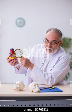 Old cardiologist explaining human heart structure Stock Photo