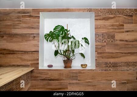 A beautiful monstera flower in a clay pot stands in a wall window on a white background. Minimalism concept. Monstera deliciosa with tropical leaves. Stock Photo