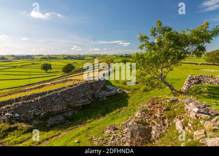 View of dry stone walls near Litton, Peak District National Park, Derbyshire, England, United Kingdom, Europe Stock Photo