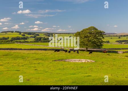 View of dry stone walls near Litton, Peak District National Park, Derbyshire, England, United Kingdom, Europe Stock Photo