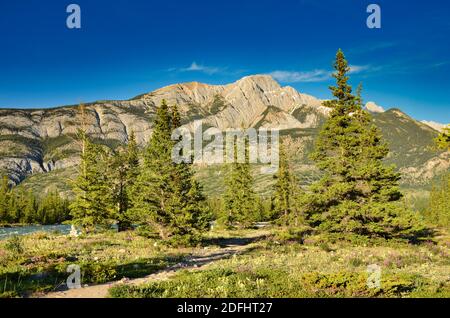 Rocky Mountains. Beautiful landscape with mountains and rivers in the Jasper National Park Canada. Icefield parkway. Travel in the nature of canada Stock Photo