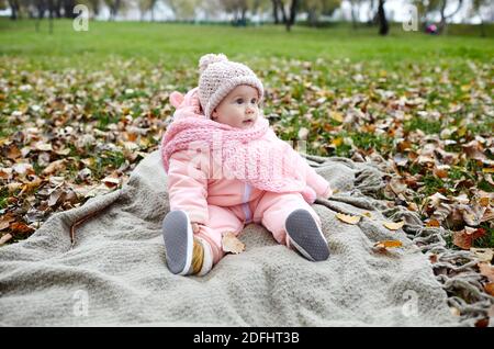 Beautiful baby girl sitting on the plaid. Child outdoor. Adorable little girl in warm clothes at picnic in autumn park on sunny day. Stock Photo
