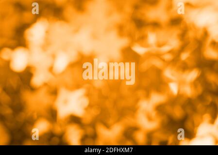 Abstract blurred bright orange beautiful glitter background. Trendy color of the year. Bright and colorful background. Stock Photo