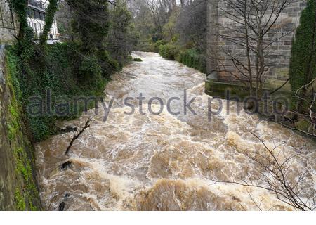 Edinburgh, Scotland, UK. 5th Dec 2020. Snow Melt and continual rain causes the banks to burst on the Water of Leith which is fast flowing and in Spate with many weirs and waterfalls overflowing with turbulent white water and the walkway impassable in places requiring a detour. Raging torrent under the Dean Bridge. Credit: Craig Brown/Alamy Live News Stock Photo