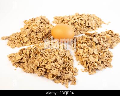 A pile of corn petals that form a nest with an egg on top. Concept around food, breakfast and consumption. Stock Photo