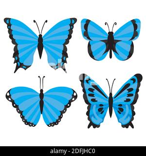 blue tropical butterflies isolated on a white background. Vector, illustration Stock Vector