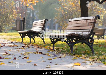 Two empty wooden and iron benches in the public park on a sunny autumn morning with fallen leaves Stock Photo