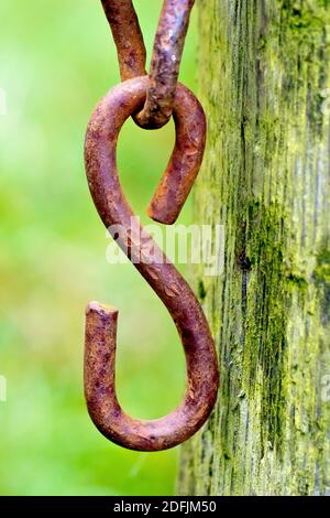 Close up of the rusty hook connector at the end of a chain, hanging against an old wooden gate post at the entrance to a field. Stock Photo