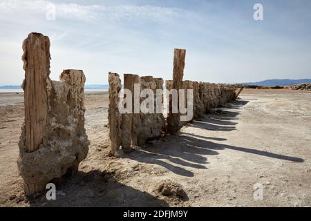 Salt encrusted pilings left behind by the receding Salton Sea, California Stock Photo