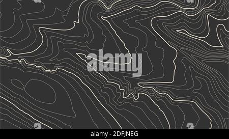Grey contours vector topography. Geographic mountain topography vector illustration. Topographic pattern texture. Map on land vector terrain Stock Vector