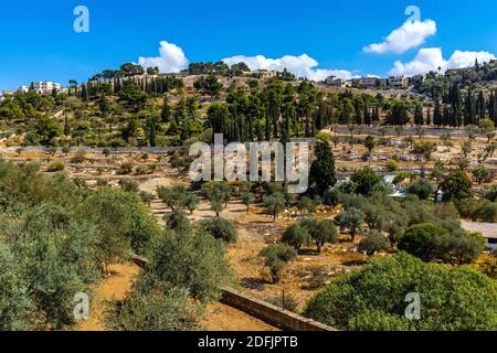 Jerusalem, Israel - October 14, 2017: Panoramic view of Orson Hyde Memorial Garden on Mount of Olives, in Kidron reiver valley near Jerusalem Stock Photo