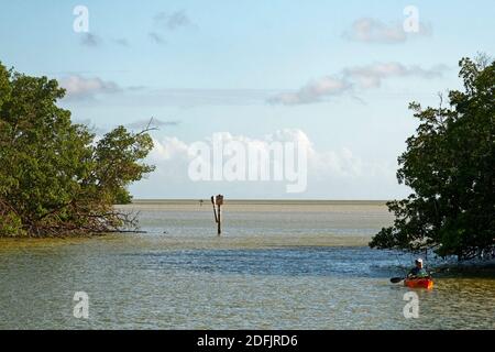 Florida Bay, open water, inlet, man kayaking, vegetation, calm, marine scene, tranquil, Everglades National Park, Florida, Flamingo, FL Stock Photo