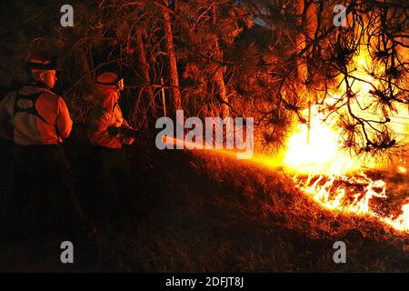COLORADO, USA - 12 June 2013 - US Air Force Academy firefighters battle a hotspot in the Black Forest Fire in Colorado USA. A total of 16 personnel an Stock Photo