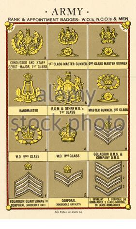 Ranks and Insignia of the British Armed Forces - Army, from WW2 ...
