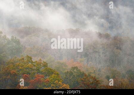 Misty autumn morning in the Cade’s Cove section of Great Smoky Mountains National Park, TN Stock Photo