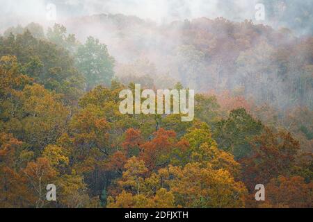 Misty autumn morning in the Cade’s Cove section of Great Smoky Mountains National Park, TN Stock Photo