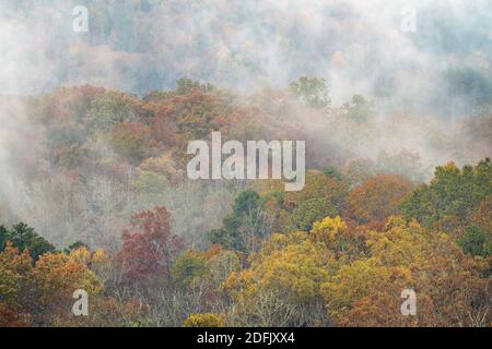 Misty autumn morning in the Cade’s Cove section of Great Smoky Mountains National Park, TN Stock Photo