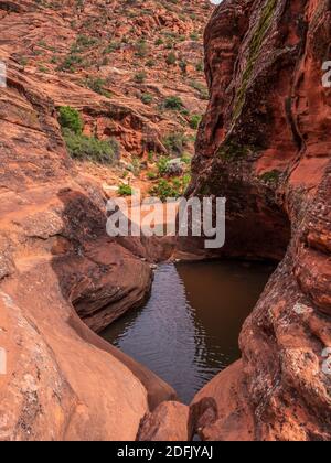 Pool at trail's end, Red Sands Trail, ,Snow Canyon State Park, Saint George, Utah. Stock Photo