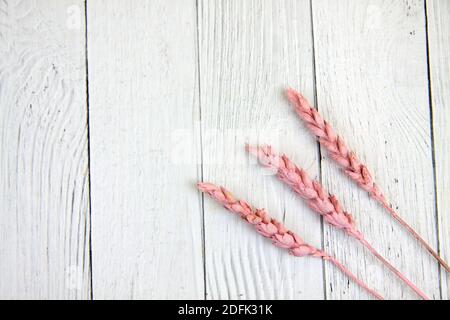 three pieces of wheat isolated on white wooden background flat lay. Image contains copy space Stock Photo