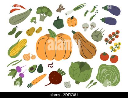 Vegetables isolated on white background. Set of zucchini, champignons, eggplant, potatoes, pumpkin, tomatoes etc. Vector flat illustration. Stock Vector