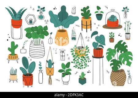 Hand-drawn vector illustration with flowers in pots. Home garden, greenhouse, plants growing in pots. Scandinavian style. Stock Vector